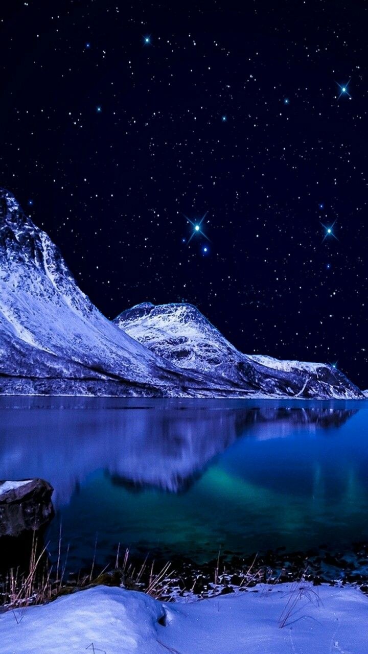 Ночная природа вертикально