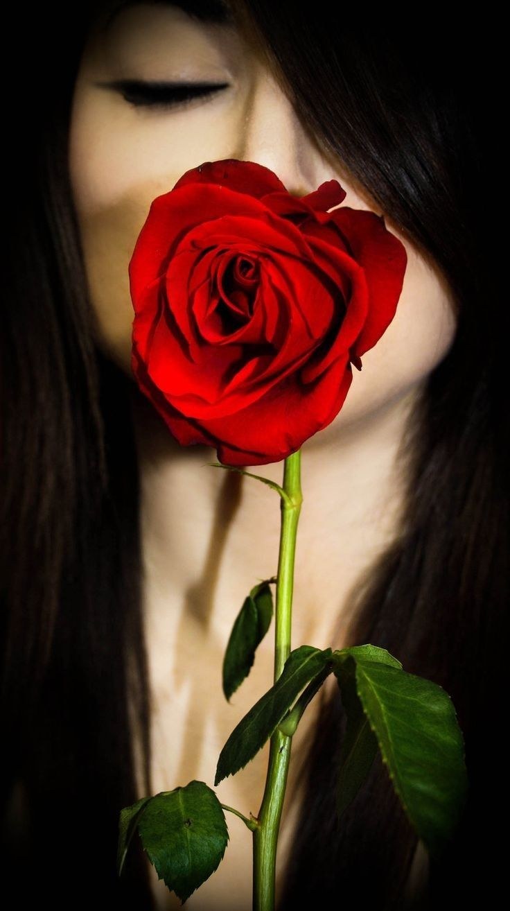 Розы красные и белые