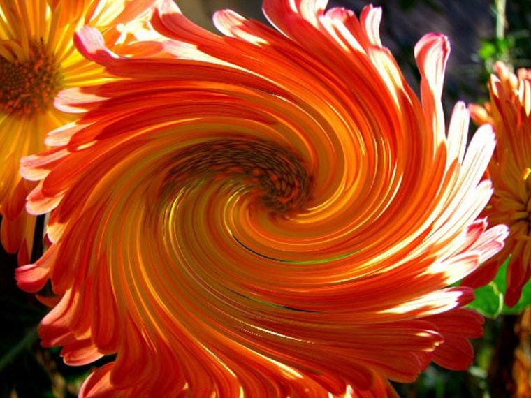 Оранжевая кухня