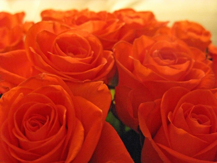 Оранжевый цвет однотонный