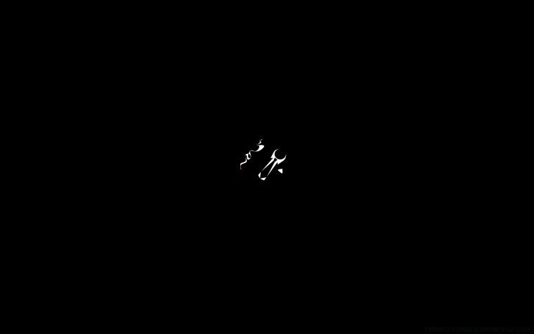 Порноактриса Ребекка вайлд