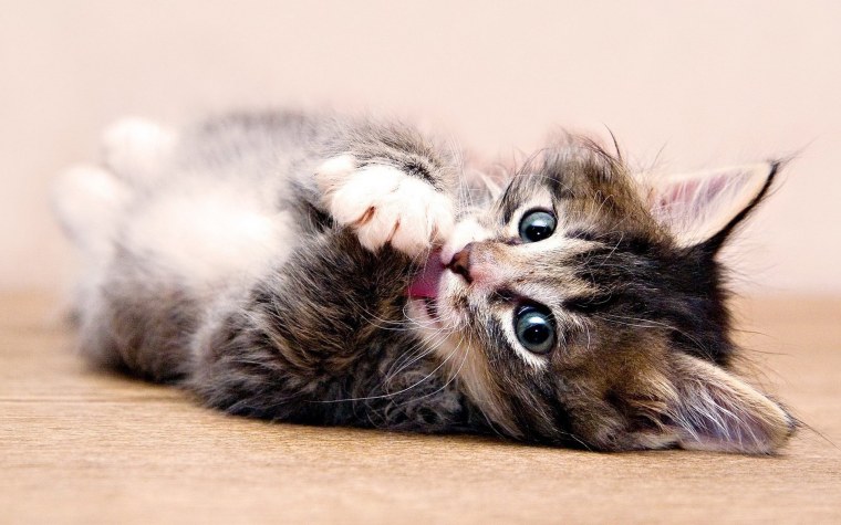 Классные заставки на рабочий стол