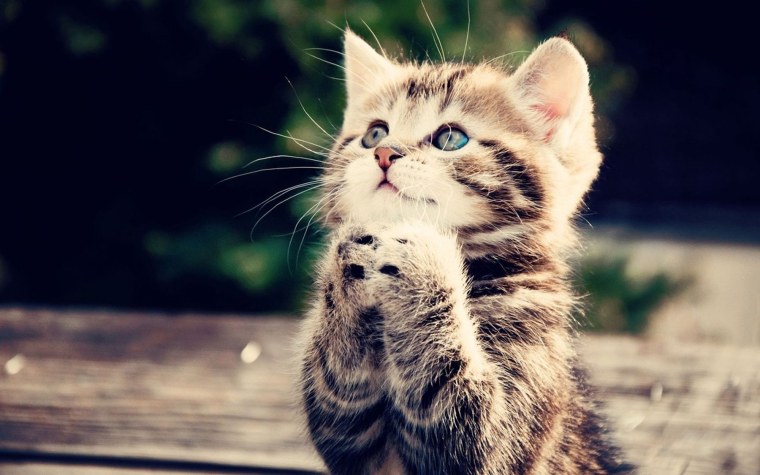 Крутой фон для рабочего стола