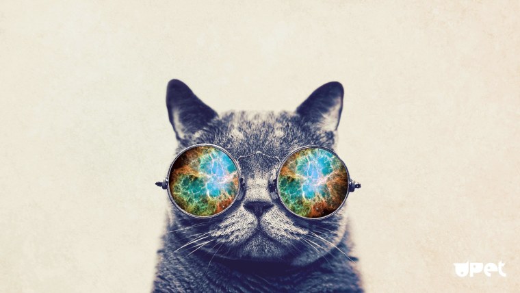 Картинки на рабочий стол милые