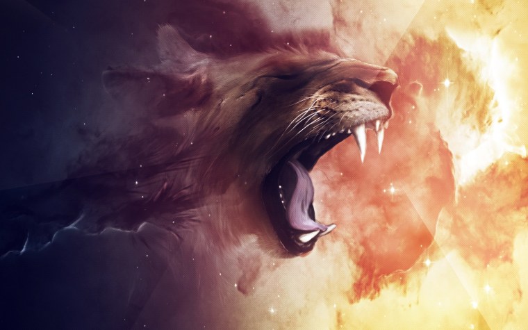 Ярость животных