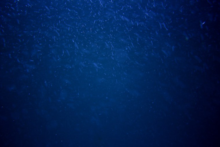 Темно синий фон однотонный