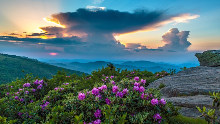 Снежные просторы