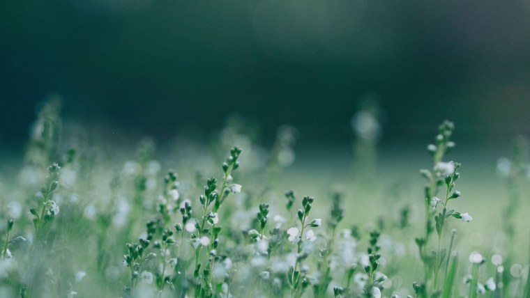 Фон для Яндекс браузера