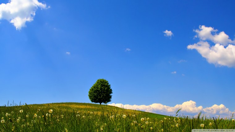 Карпаты, Урал, Алтай.