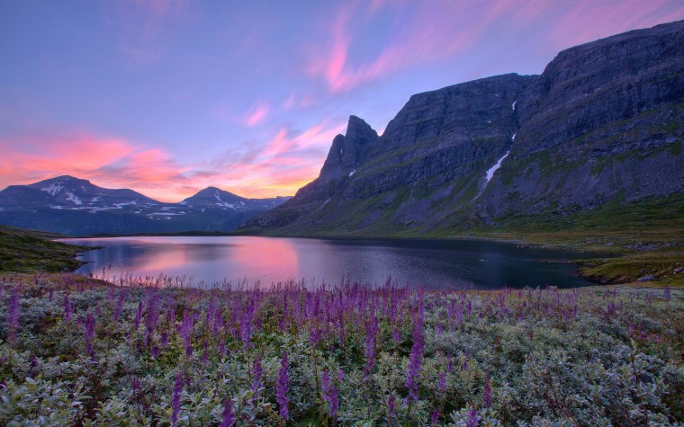 Фон для стартовой страницы Яндекса
