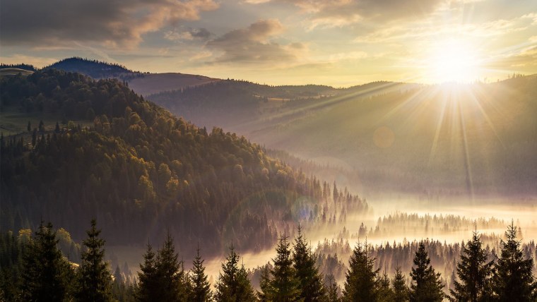 Зелёные просторы (Green acres)