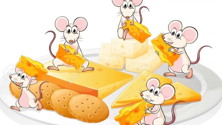 Мышка в сыре