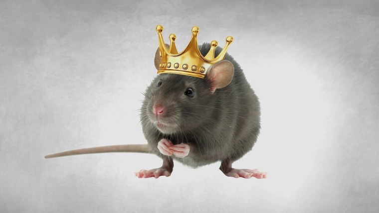 Силиконовая форма мыши