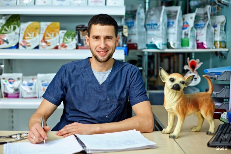 Осипов ветеринар Брянск