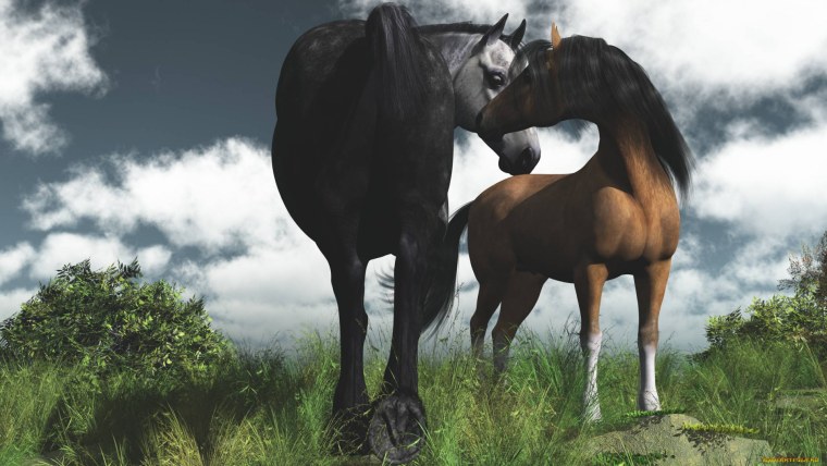 Инь Янь лошади