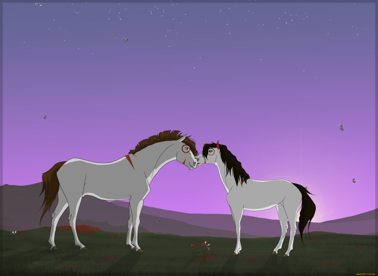 Лошади 1920х1080