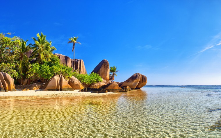 Море пляж пальмы