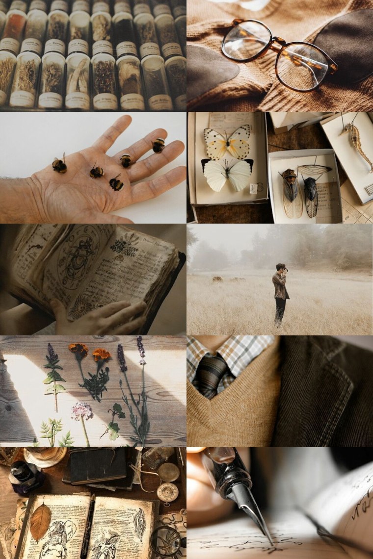 Эстетика коллаж бежевый