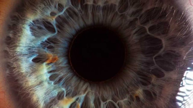 Сурен Манвелян глаза человека