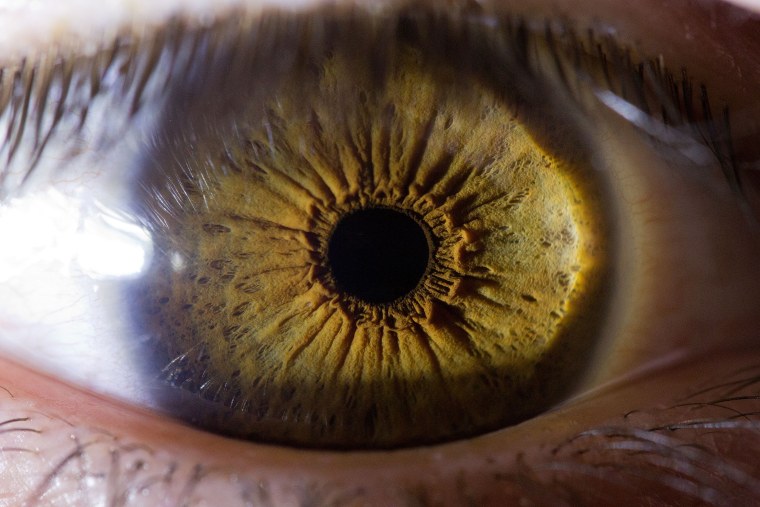 Голубые глаза