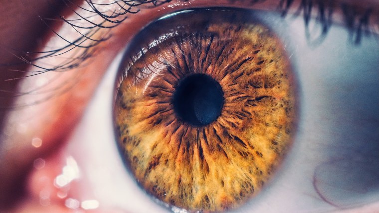 Человеческий глаз