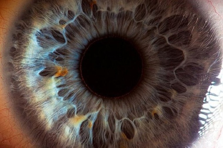 Глаз крупным планом