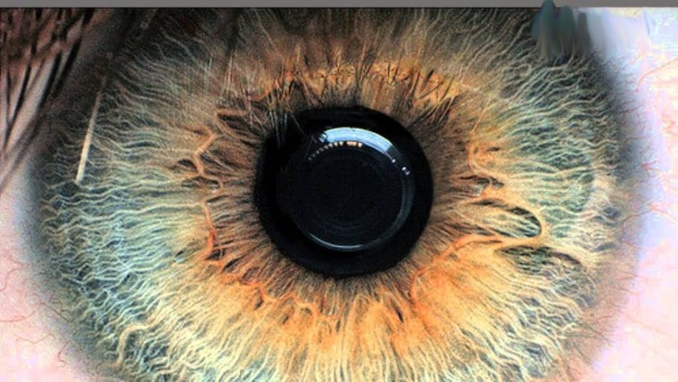 Сурен Манвелян глаза