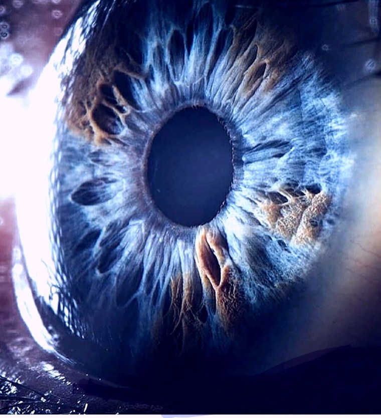 Сурен Манвелян фотограф