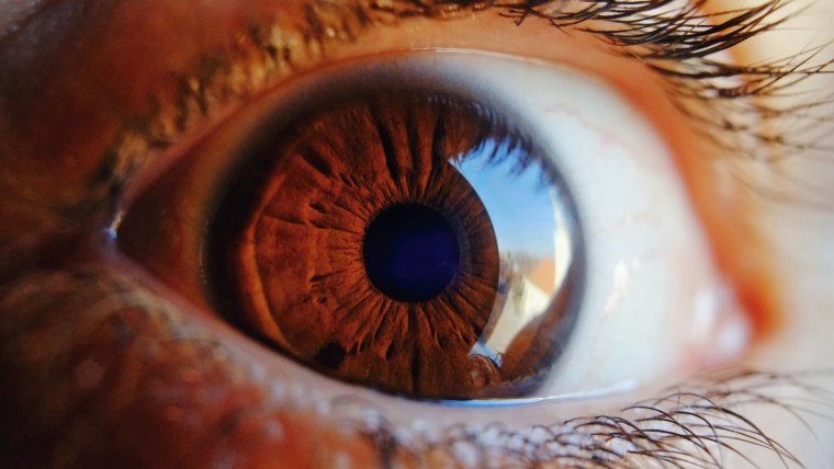 Человеческий глаз