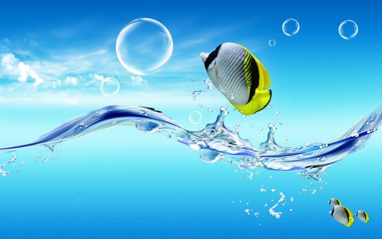 Обои на рабочий стол джунгли