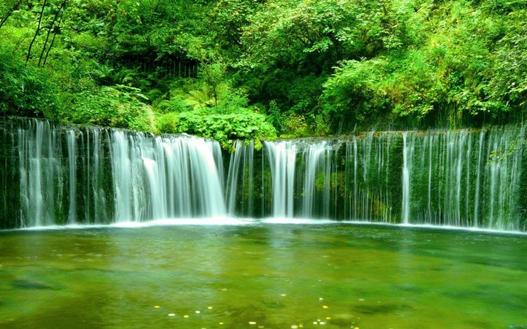 Хаски Гранни алмазная мозаика