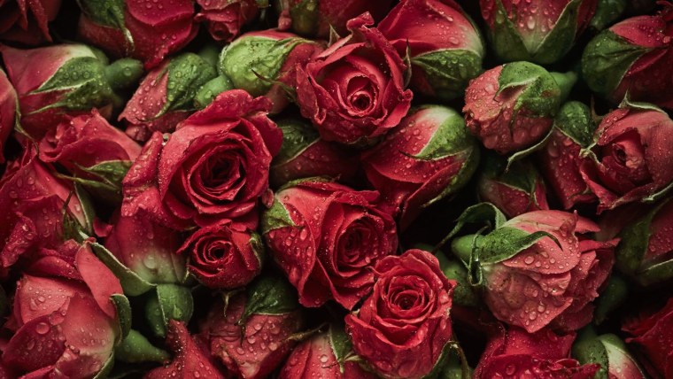 Шикарный букет чайных роз