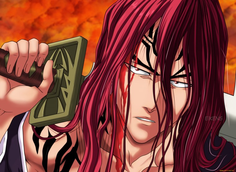 Абарай Ренджи аниме