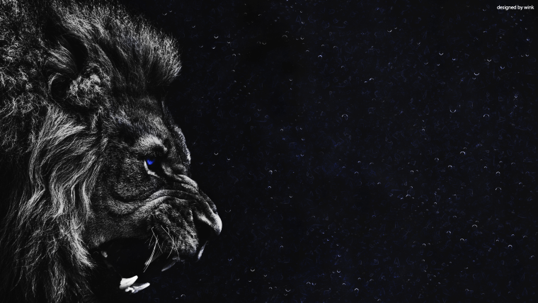 Обои темная тема