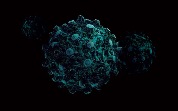 Вирус коронавирус клетка