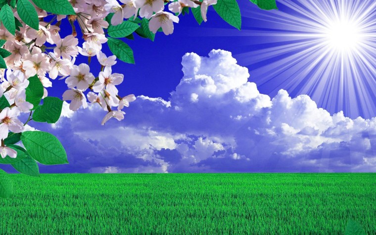 Летний пейзаж