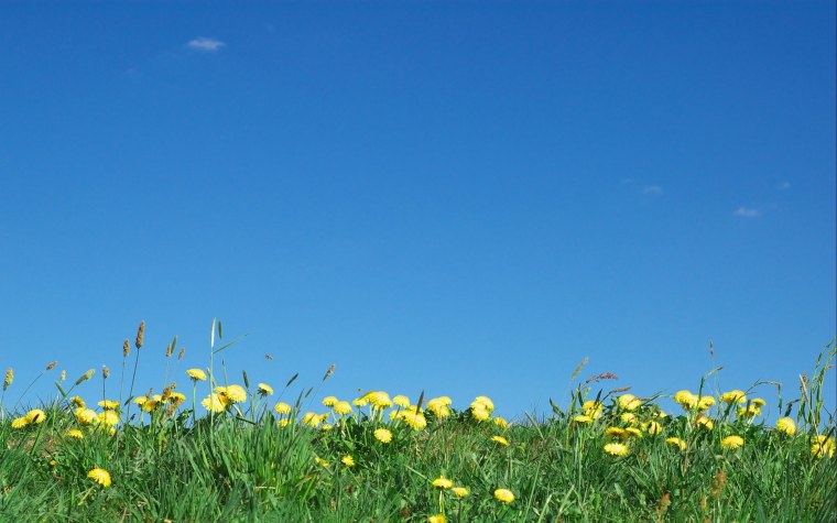 Расслабляющий пейзаж