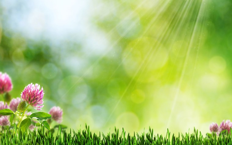 Лазурный пляж