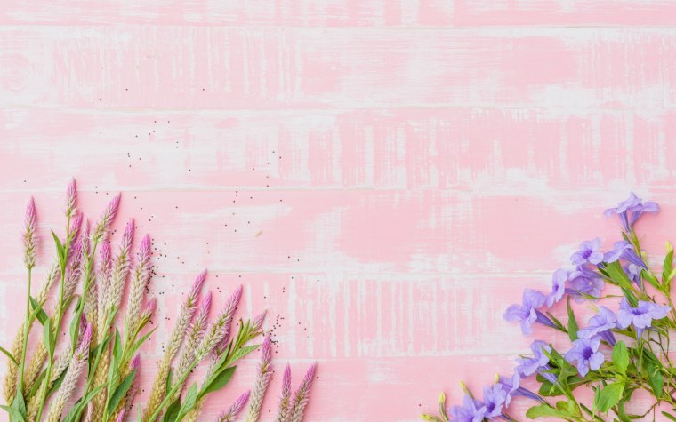 Луг на рассвете