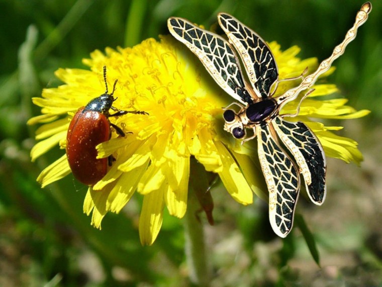 Пчела Стрекоза