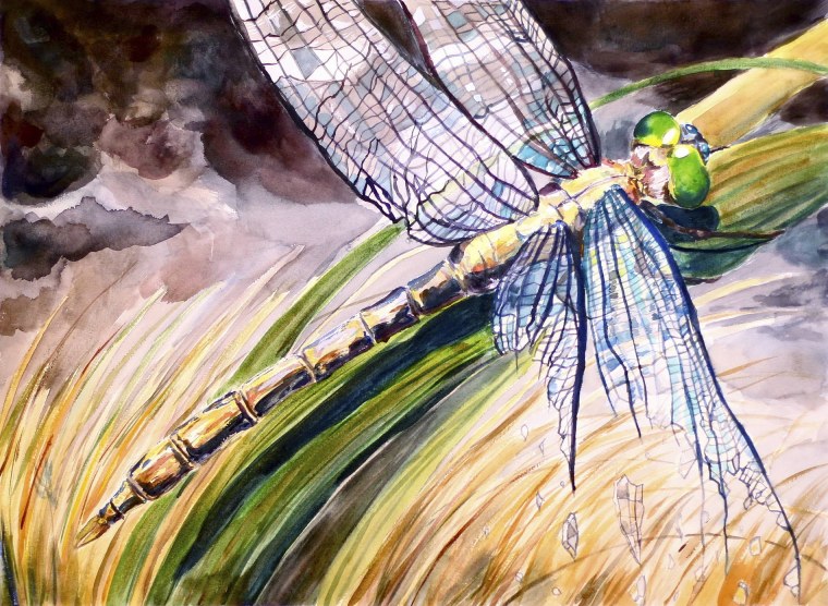 Фэнтези Стрекоза