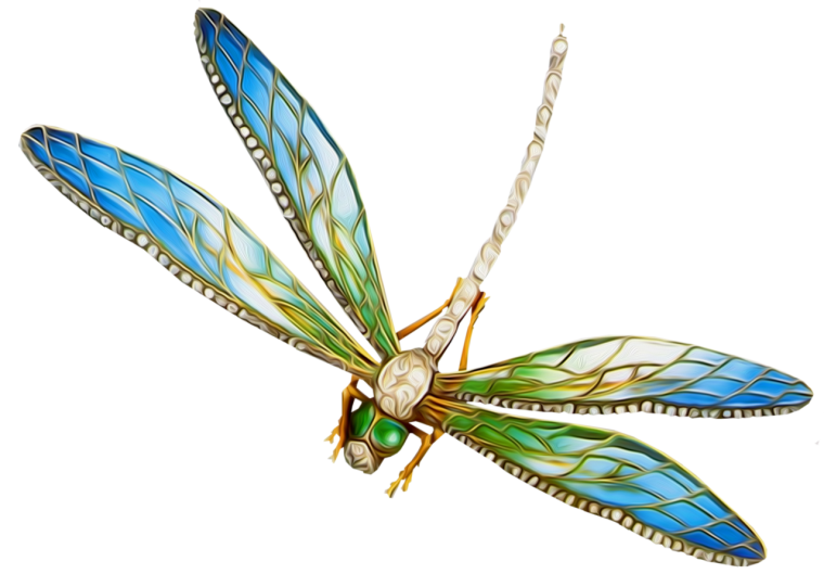 Крылья Стрекозы узор