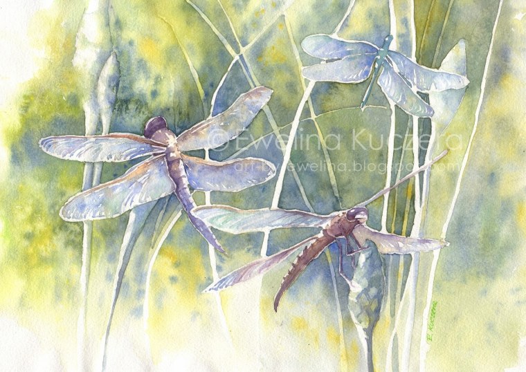 Пейзаж со стрекозами