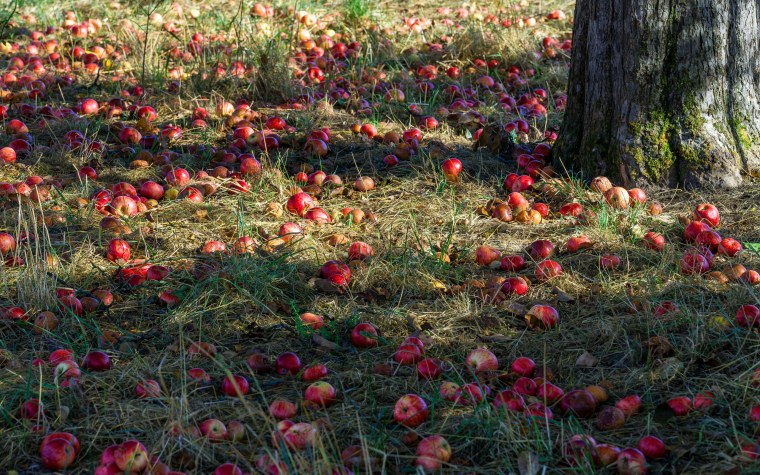 Конец лета картинки