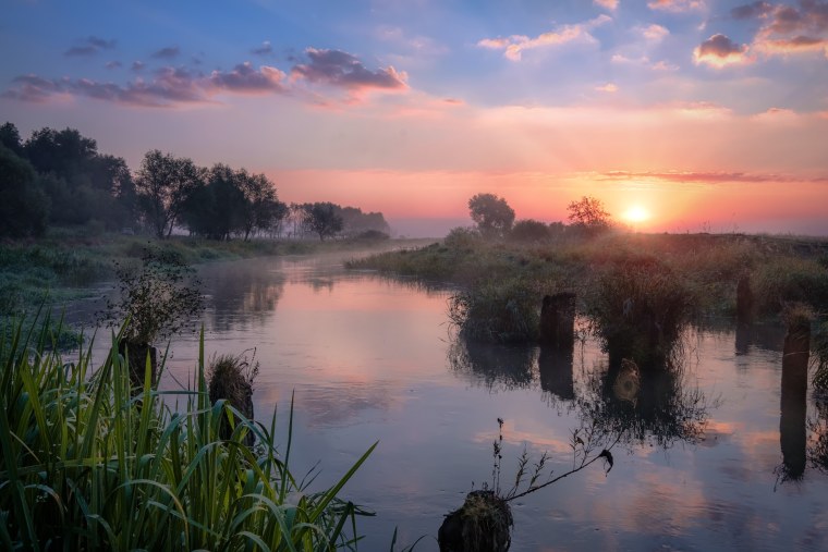 Шерна в августе