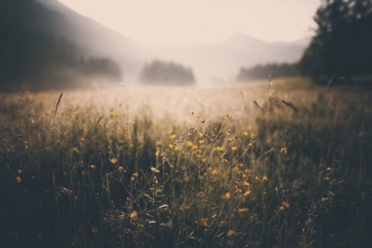 Последний день лета Эстетика