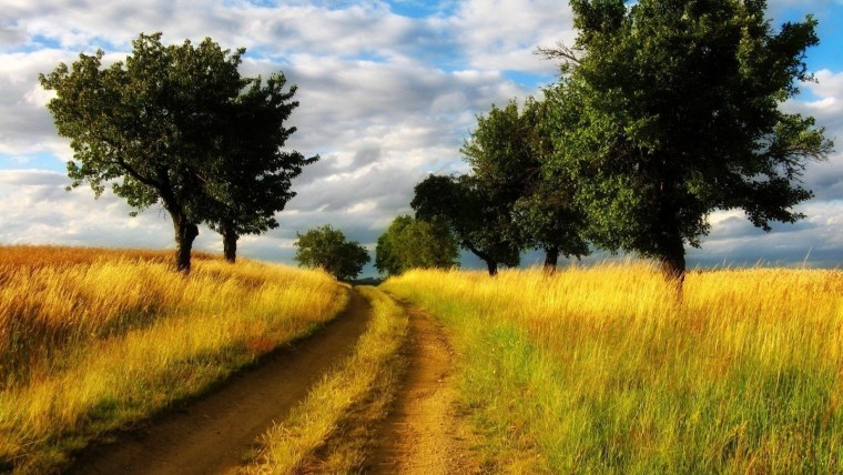 Августовский пейзаж