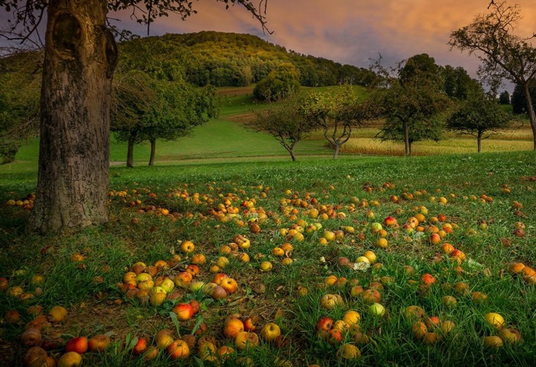 Август пейзаж