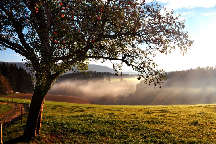 Позднее лето