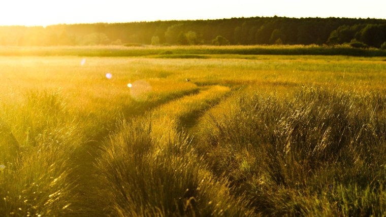 Конец августа